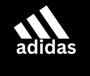 Junior Software Developer Job at adidas